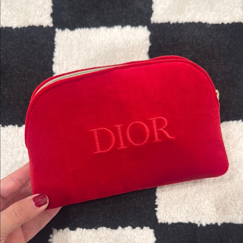 Dior pouch